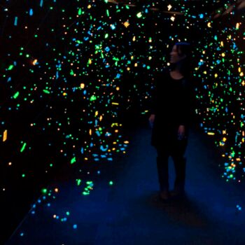 Installation titled "The Garden of Light" by Noriko Obara, Original Artwork, Installation Art