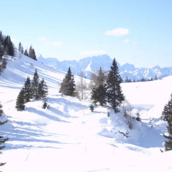 Fotografia zatytułowany „Austria” autorstwa Cesc, Oryginalna praca