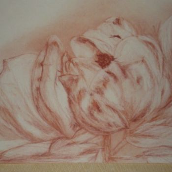 Drawing titled "FLEUR DE MAGNOLIA" by Ode, Original Artwork, Other