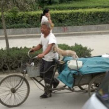 Photography titled "Homme cycliste et c…" by Odile, Original Artwork