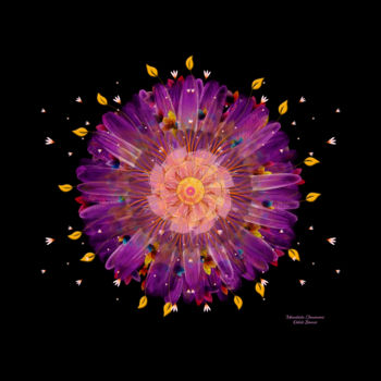 Digital Arts titled "Mandala Chumani" by Odile Banse, Original Artwork