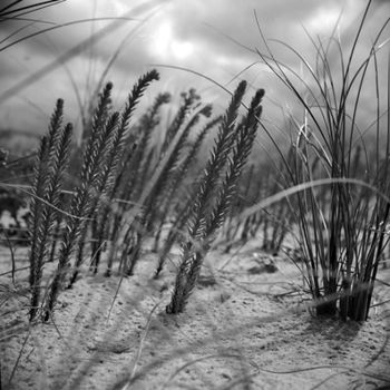 Photographie intitulée "Dune d'argent" par Oeildepierre, Œuvre d'art originale