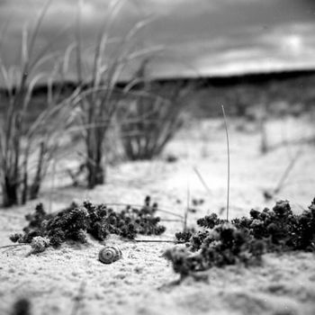 Photography titled "Dune d'argent 05" by Oeildepierre, Original Artwork