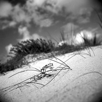 「Dune d'argent 06」というタイトルの写真撮影 Oeildepierreによって, オリジナルのアートワーク