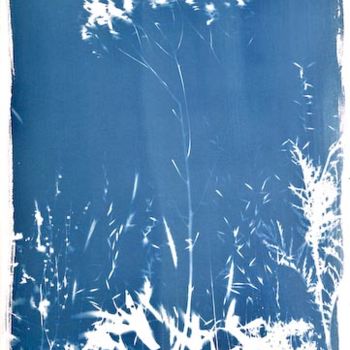 Photographie intitulée "Plein champs II Isa…" par Oeildepierre, Œuvre d'art originale