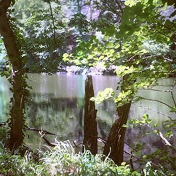 Fotografie getiteld "Pont de cirou viaur" door Oeildepierre, Origineel Kunstwerk