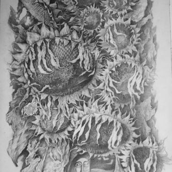 Drawing titled "подсолнухи" by Oksana Prudnikova, Original Artwork, Pencil