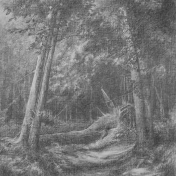 Drawing titled "Light in the forest…" by Oksana Duchenchuk, Original Artwork, Pencil