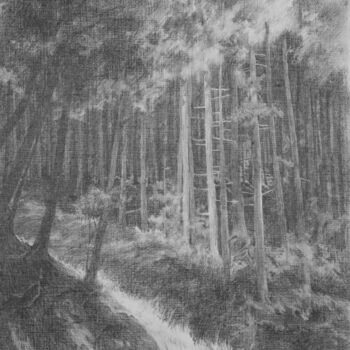 Dessin intitulée "Light in the forest…" par Oksana Duchenchuk, Œuvre d'art originale, Crayon