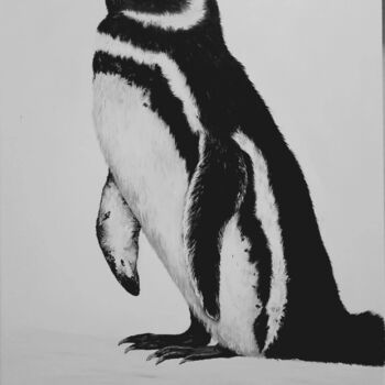 "Магелланов пингвин" başlıklı Tablo Оксана Рябова tarafından, Orijinal sanat, Petrol