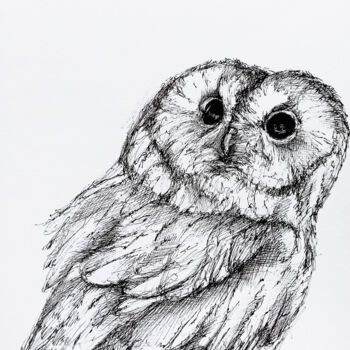 Drawing titled "Ink owl #2" by Oksana Shkrebets, Original Artwork, Ink