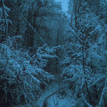 Fotografia intitolato "Forêt des Carpates…" da Oleg Andrienko, Opera d'arte originale, Fotografia digitale