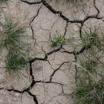 Photographie intitulée "Clay soil after rai…" par Oleg Marchak, Œuvre d'art originale, Photographie numérique