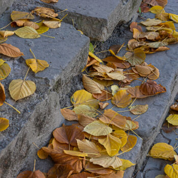 Photography titled "Stone stairs covere…" by Oleg Marchak, Original Artwork, Non Manipulated Photography