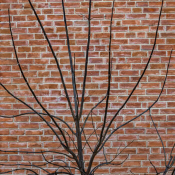 "tree without leaves…" başlıklı Fotoğraf Олег Марчак tarafından, Orijinal sanat, Fotoşopsuz fotoğraf