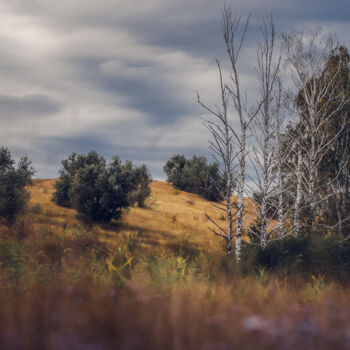 Fotografía titulada "autumn birches" por Oleg Sukhenko, Obra de arte original, Fotografía digital