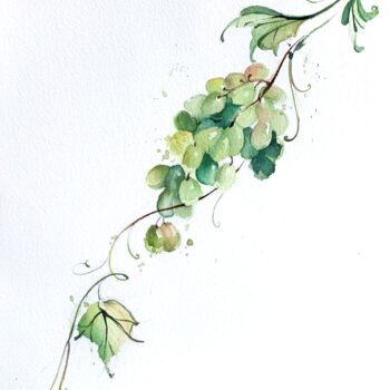 Peinture intitulée "grape" par Oleksandra Bieliaieva, Œuvre d'art originale, Aquarelle