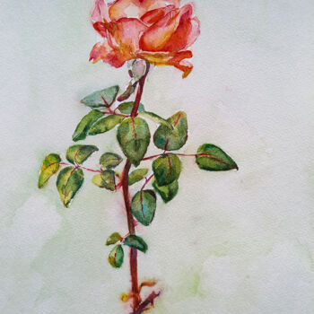 Painting titled "Rose" by Oleksandra Velychko, Original Artwork, Watercolor
