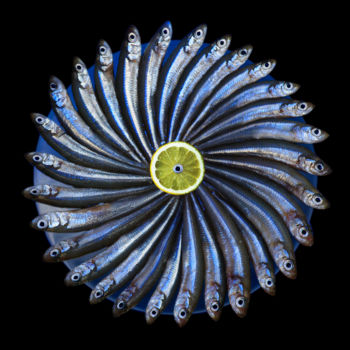 Fotografie mit dem Titel "Fish circle" von Letis, Original-Kunstwerk, Digitale Fotografie
