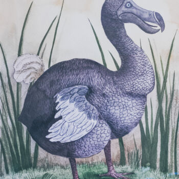 Pittura intitolato "Dodo" da Olena Sielchonok, Opera d'arte originale, Acquarello