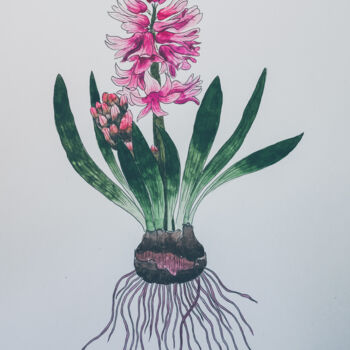 Картина под названием "Hyacinth" - Olena Sielchonok, Подлинное произведение искусства, Акварель