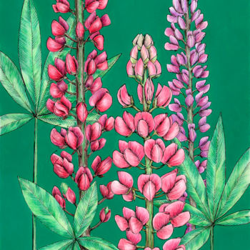 Dessin intitulée "Lupins" par Olga Shashok, Œuvre d'art originale, Conté