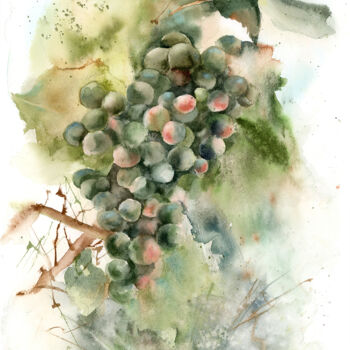 Pintura intitulada "Grape branch" por Paintispassion, Obras de arte originais, Aquarela