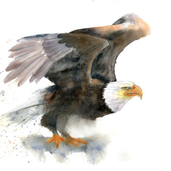 Malerei mit dem Titel "Eagle" von Paintispassion, Original-Kunstwerk, Aquarell