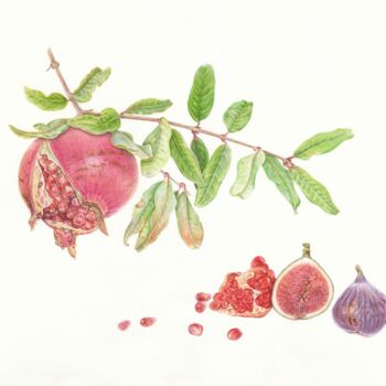 Peinture intitulée "Pomegranate, figs,…" par Olga Akimtseva, Œuvre d'art originale, Aquarelle