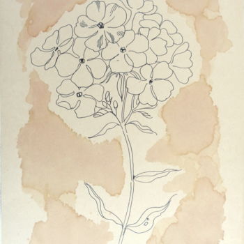 Tekening getiteld "Phlox 1" door Olga Bagina, Origineel Kunstwerk, Balpen