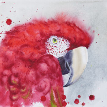 Pittura intitolato "Scarlet macaw head…" da Olga Beliaeva, Opera d'arte originale, Acquarello