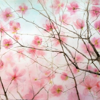 Peinture intitulée "Magnolia Blossoms -…" par Olga Beliaeva, Œuvre d'art originale, Aquarelle