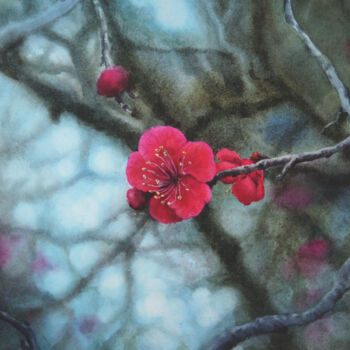 Peinture intitulée "Wild Plum Blossom" par Olga Beliaeva, Œuvre d'art originale, Aquarelle