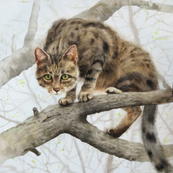 Painting titled "Country cat climbin…" by Olga Beliaeva, Original Artwork, Watercolor