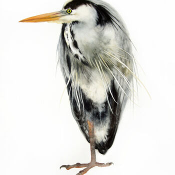 Картина под названием "Grey Heron Standing…" - Olga Beliaeva, Подлинное произведение искусства, Акварель