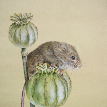 Painting titled "Harvest Mouse 2 - S…" by Olga Belova, Original Artwork, Pigments