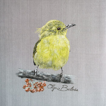 "Yellow-browed bulbul" başlıklı Tablo Olga Belova tarafından, Orijinal sanat, Pigmentler