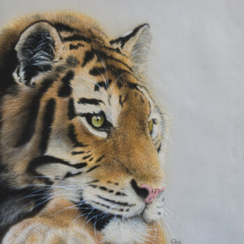 Schilderij getiteld "Dreaming tiger" door Olga Belova, Origineel Kunstwerk, Acryl