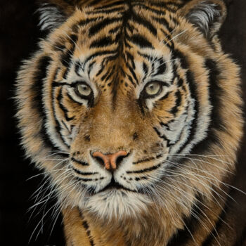 Pittura intitolato "Kindness - Tiger pa…" da Olga Belova, Opera d'arte originale, Acrilico