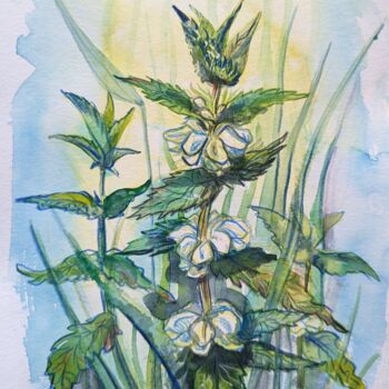 Dessin intitulée "Lamium album" par Olga Beltsova, Œuvre d'art originale, Aquarelle