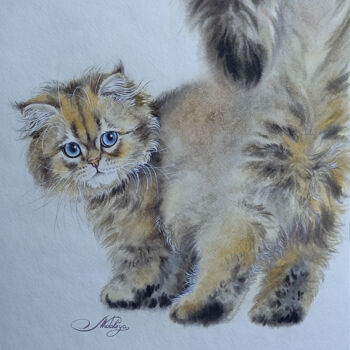 Картина под названием "fluffy tail" - Olga Matyunina, Подлинное произведение искусства, Акварель