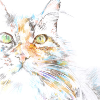 Drawing titled "Portrait of the cat…" by Olga Osipenko (Mariaiva), Original Artwork, Conté