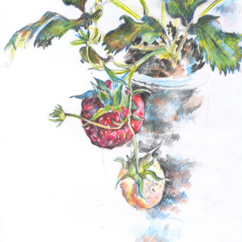Рисунок под названием "Summer still life w…" - Olga Osipenko (Mariaiva), Подлинное произведение искусства, Цветные карандаши