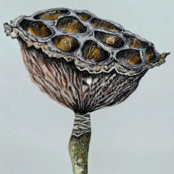 "Lotus" başlıklı Tablo Olga Poruchikova tarafından, Orijinal sanat, Kalem