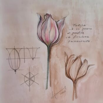 Картина под названием "Botany" - Olga Poruchikova, Подлинное произведение искусства, Акварель