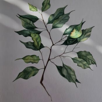Painting titled "Ficus" by Olga Poruchikova, Original Artwork, Watercolor