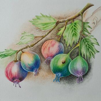 Malerei mit dem Titel "Berries" von Olga Poruchikova, Original-Kunstwerk, Bleistift