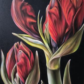 Malarstwo zatytułowany „Red amaryllis” autorstwa Olga Sarukhanova, Oryginalna praca, Olej Zamontowany na Drewniana rama noszy