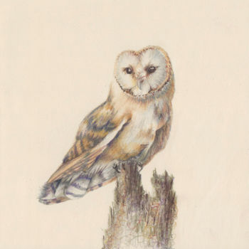 图画 标题为“11 Owl” 由Olga Trifonova, 原创艺术品, 铅笔