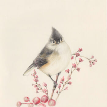 Desenho intitulada "Bird" por Olga Trifonova, Obras de arte originais, Lápis